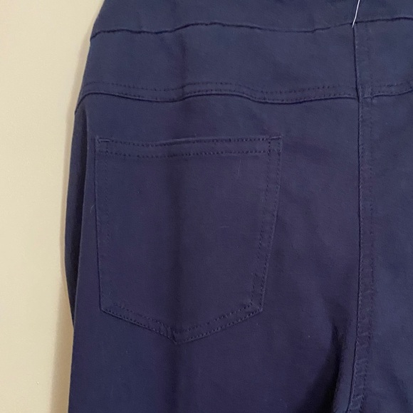 Ruby Rd. Navy Cropped Pants - Picture 6 of 7